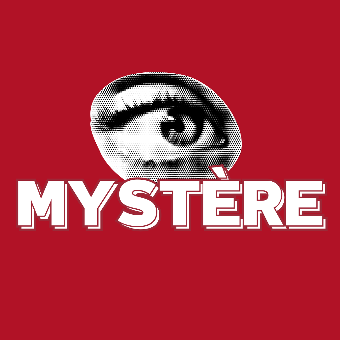 Séance Mystère